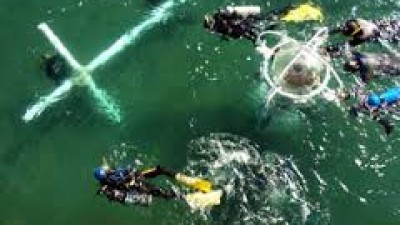 Vía Crucis Submarino, 3 de abril en Puerto Madryn
