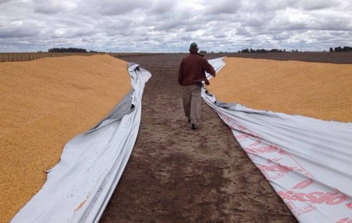 La AFIP creó un nuevo registro para controlar la producción y venta de los silos bolsas