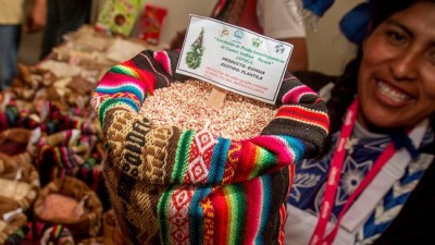 II Fiesta de la Quinoa, 18 de marzo en Chalguamayoc