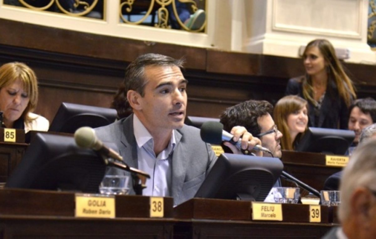 Buenos Aires: Diputados aprobaron reglamentar el Instituto de la Consulta Popular