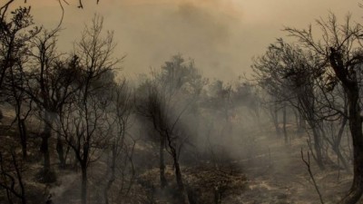 Chubut: Fueron más de 41 mil las hectáreas que se quemaron