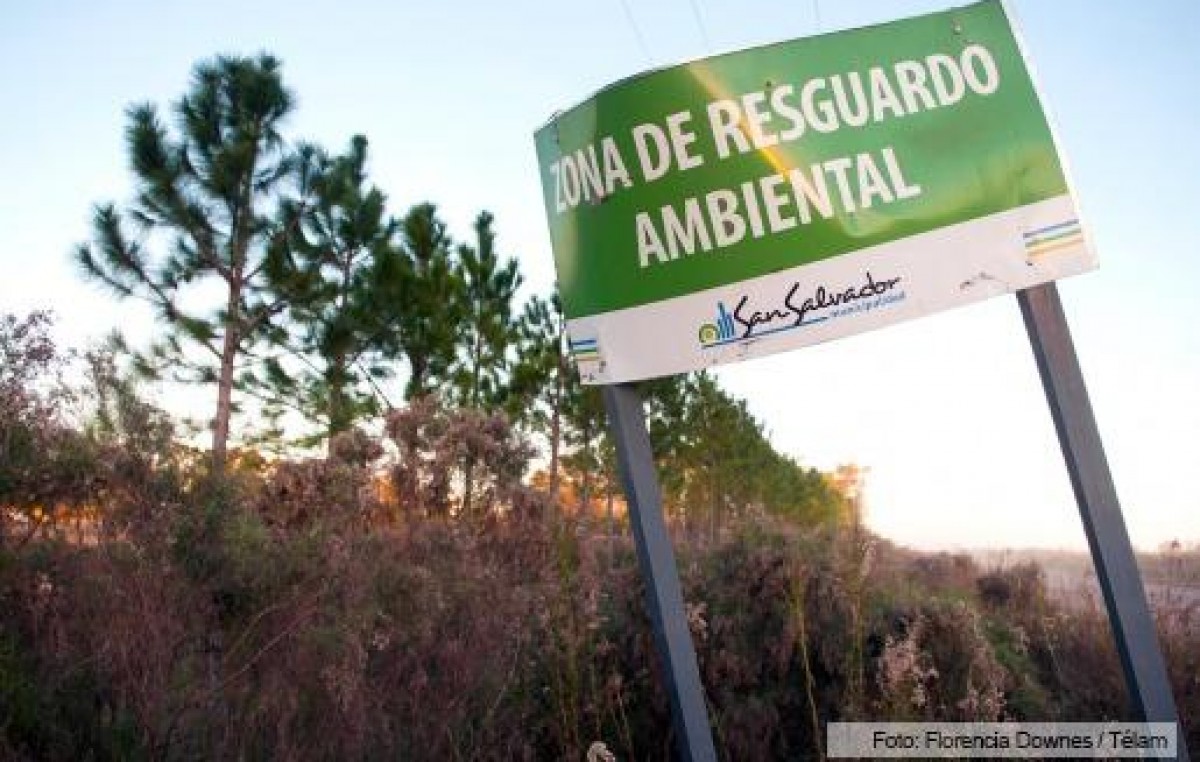 San Salvador: Un pueblo de Entre Ríos en alerta, casi la mitad de su población muere por cáncer
