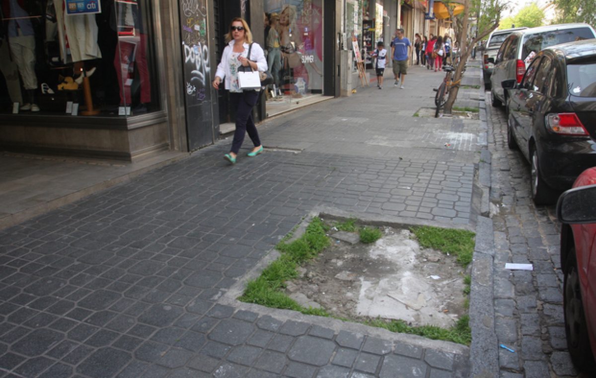 Van a reponer cerca de 1.000 árboles que fueron extraídos en los barrios de La Plata