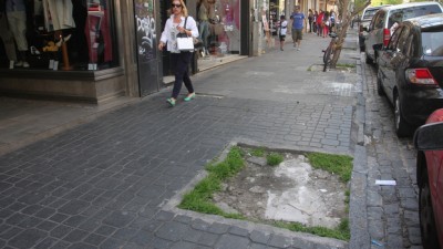Van a reponer cerca de 1.000 árboles que fueron extraídos en los barrios de La Plata