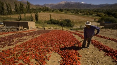 El Gobierno invirtió más de $2 millones en Cachi para fortalecer el desarrollo de pequeños productores