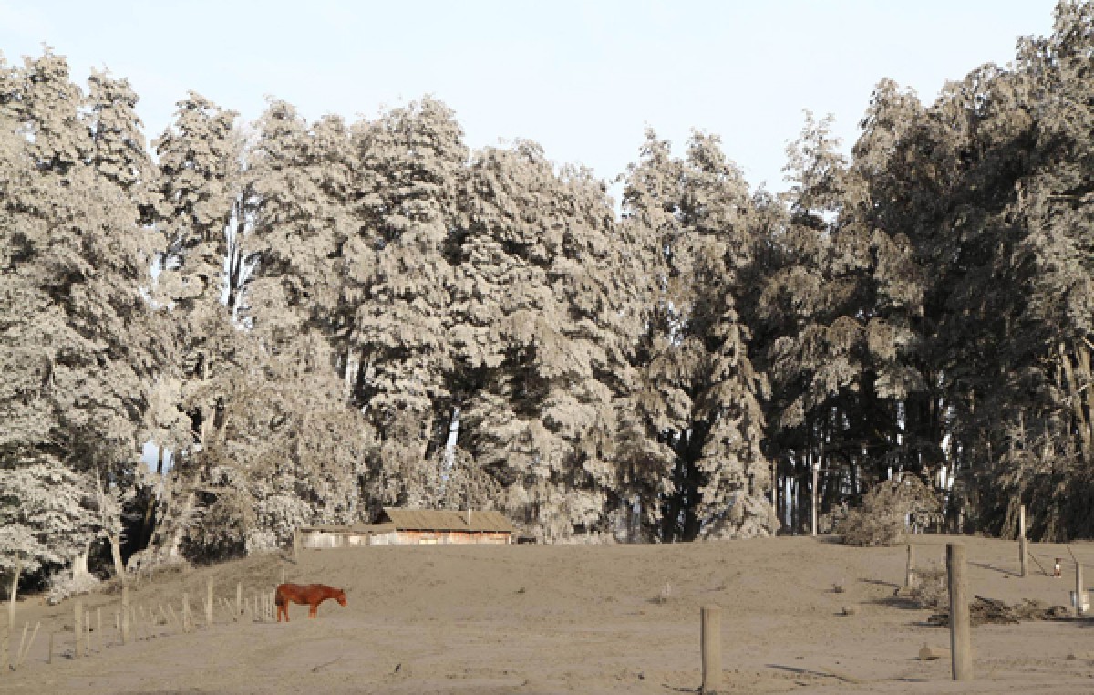Tres provincias patagónicas padecen la ceniza del volcán Calbuco