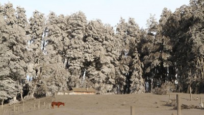 Tres provincias patagónicas padecen la ceniza del volcán Calbuco