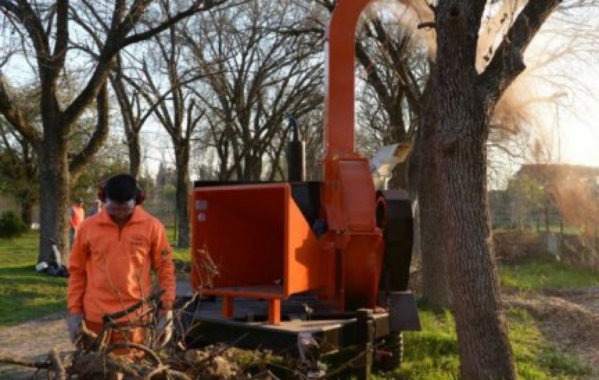Paraná: Implementaron un nuevo sistema para la recolección domiciliaria de ramas y residuos verdes