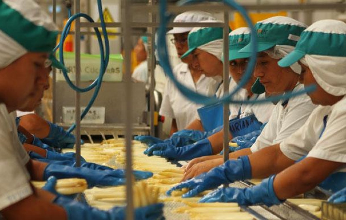 La informalidad laboral juvenil afecta a 27 millones de latinos