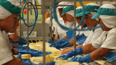 La informalidad laboral juvenil afecta a 27 millones de latinos