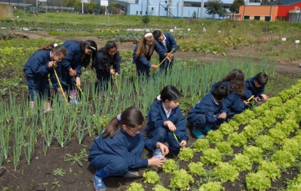 Estación Juárez Celman es pionera en desarrollo agroecológico