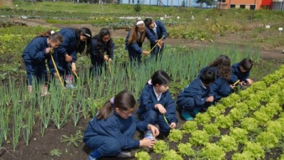 Estación Juárez Celman es pionera en desarrollo agroecológico