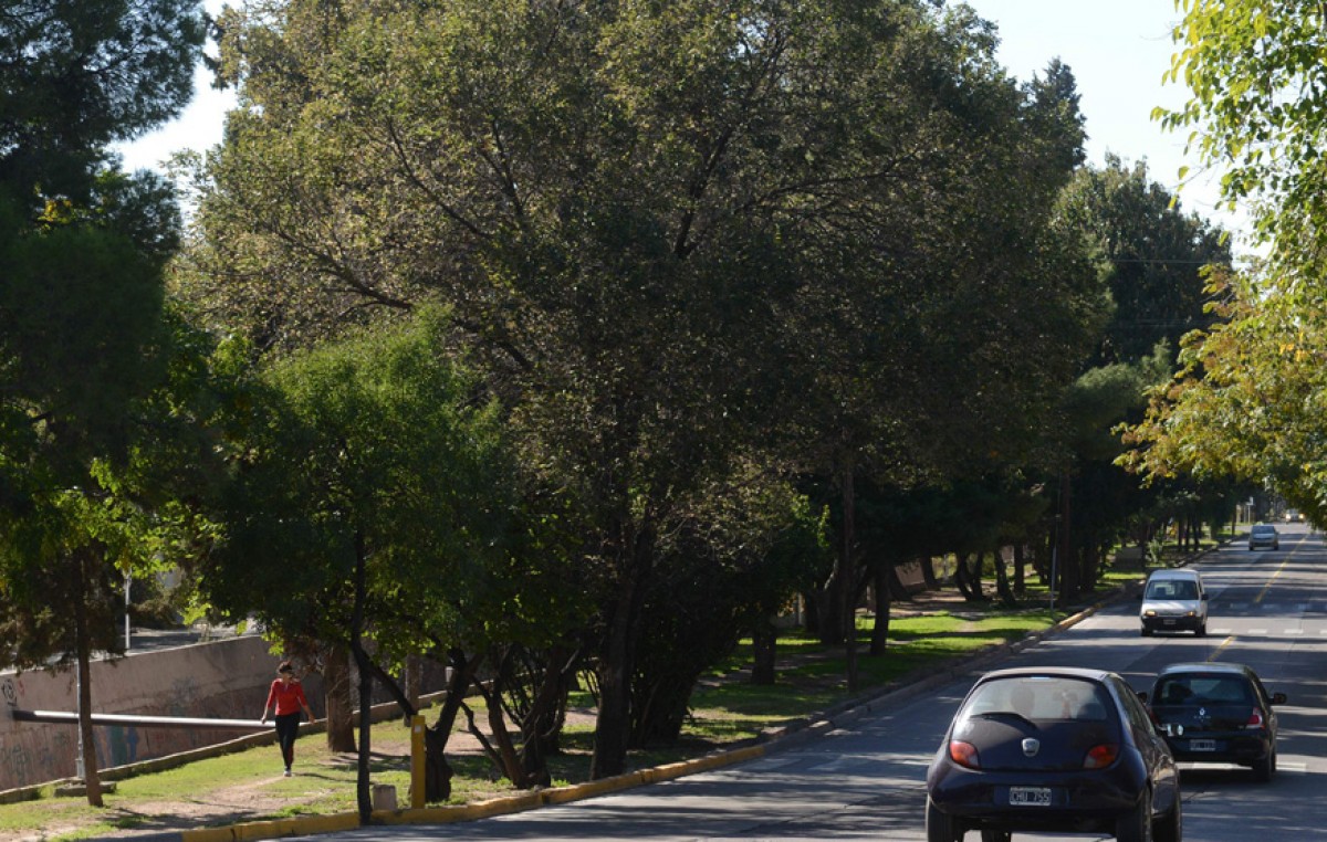 Afirman que invertirán $49 millones para mejorar calles de Mendoza