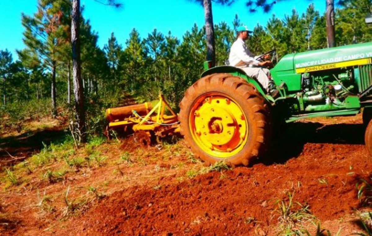Misiones es la provincia con más pequeños productores agrícolas