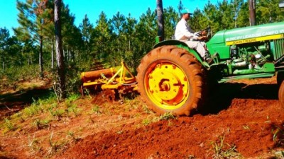 Misiones es la provincia con más pequeños productores agrícolas