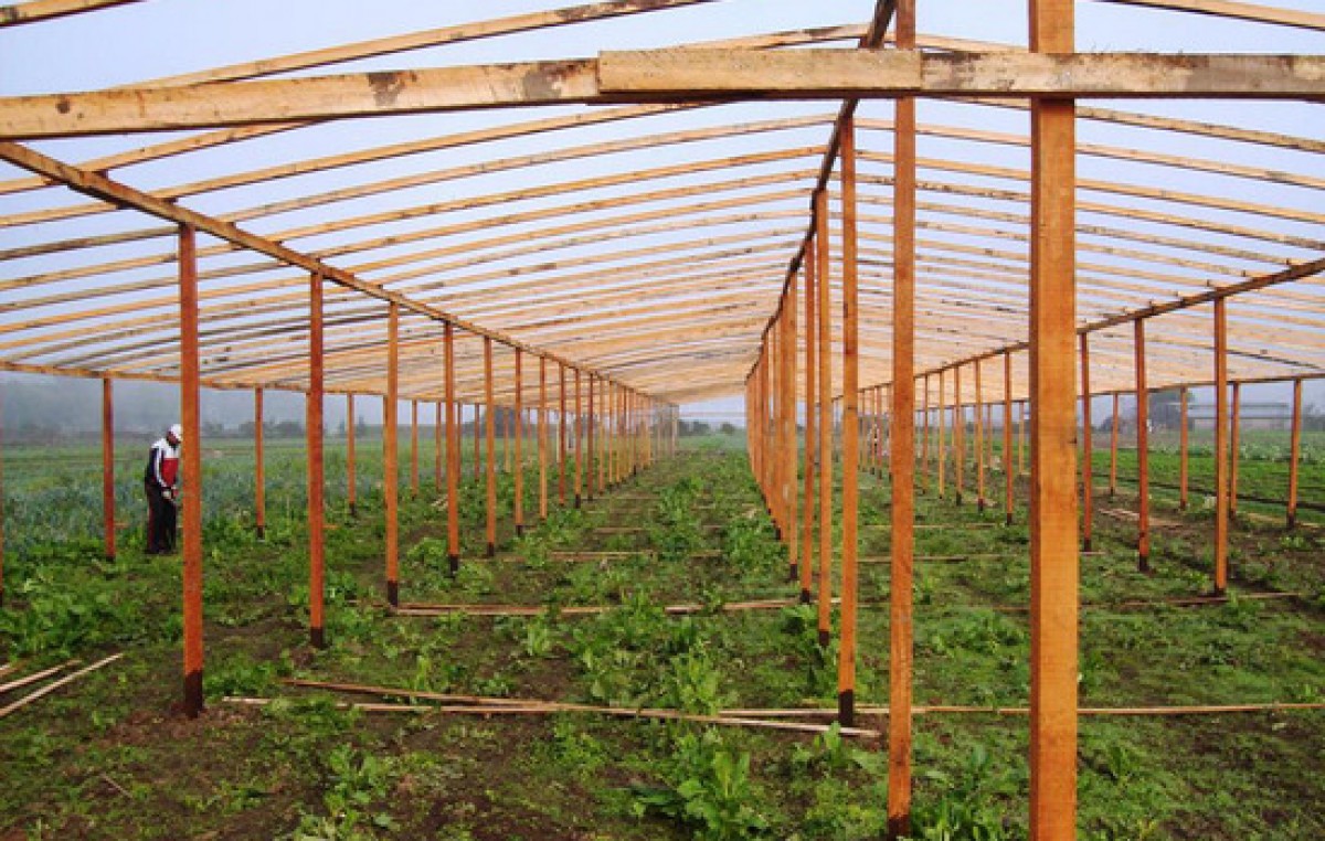 Nación destinó 22 millones de pesos para Agricultura Periurbana en Buenos Aires