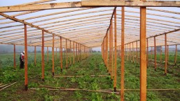 Nación destinó 22 millones de pesos para Agricultura Periurbana en Buenos Aires