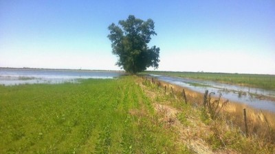 Siguen los problemas en la red vial de Córdoba tras las inundaciones