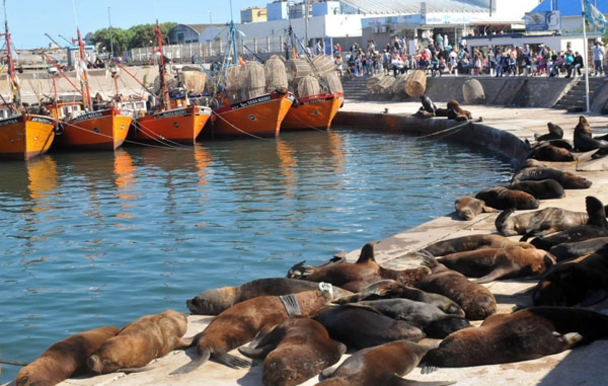 Unos 85.000 turistas visitaron Mar del Plata en el fin de semana largo