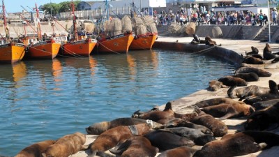 Unos 85.000 turistas visitaron Mar del Plata en el fin de semana largo