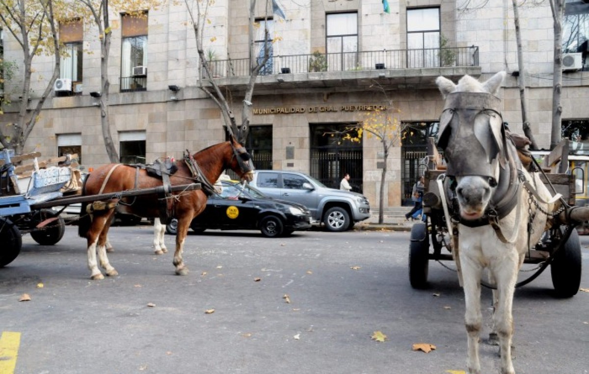 Cartoneros de Mar del Plata no aceptan reemplazar con motos los carros con tracción a sangre