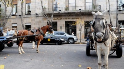 Cartoneros de Mar del Plata no aceptan reemplazar con motos los carros con tracción a sangre
