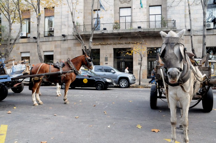 Con la intención de ser escuchados por las autoridades, un grupo de cartoneros concurrió ayer al municipio con sus carros tirados por caballos.