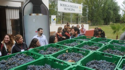Se mueve la bodega municipal de Junín con su primera molienda
