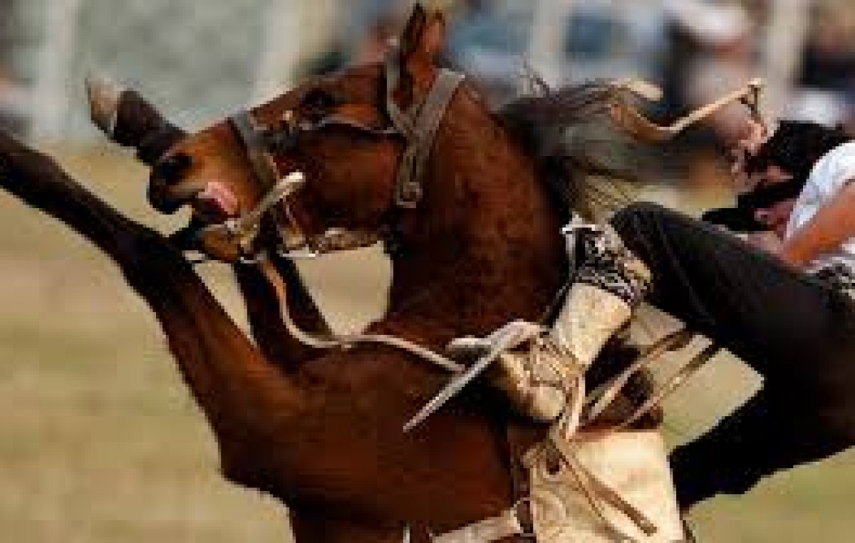 «El Carrileñazo» Festival de canto y jineteada, 9 y 10 de mayo en El Carril