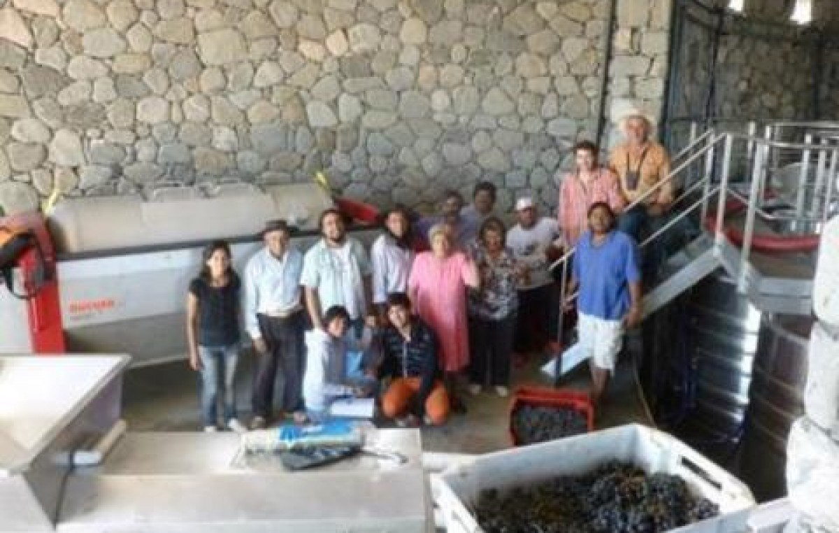 Amaicha del Valle: La Comunidad Indígena administra su bodega