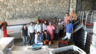 Amaicha del Valle: La Comunidad Indígena administra su bodega