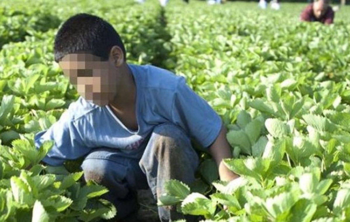 El Renatea detectó más de 700 víctimas de trata laboral en zonas rurales