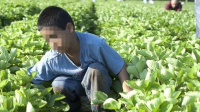 El Renatea detectó más de 700 víctimas de trata laboral en zonas rurales