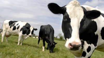 El Gobierno paga $212 millones del plan de estímulo para pequeños productores de granos y tamberos