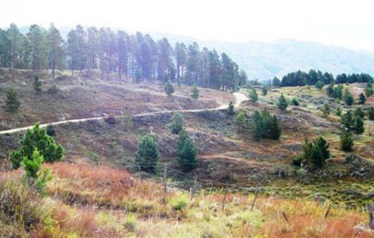 La Cumbrecita-Villa Alpina: una nueva ruta de montaña