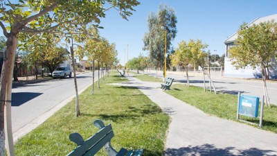 Centenario: ya se puede denunciar el vandalismo contra espacios públicos por la web