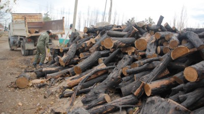 Tres mil familias usarán leña distribuida por el Municipio de Neuquén para calefaccionarse