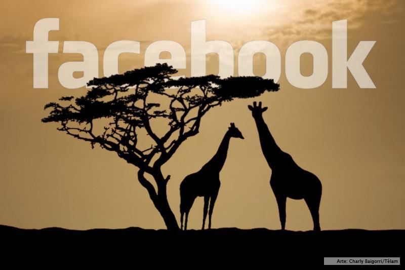 559295edcc1a8_800x533