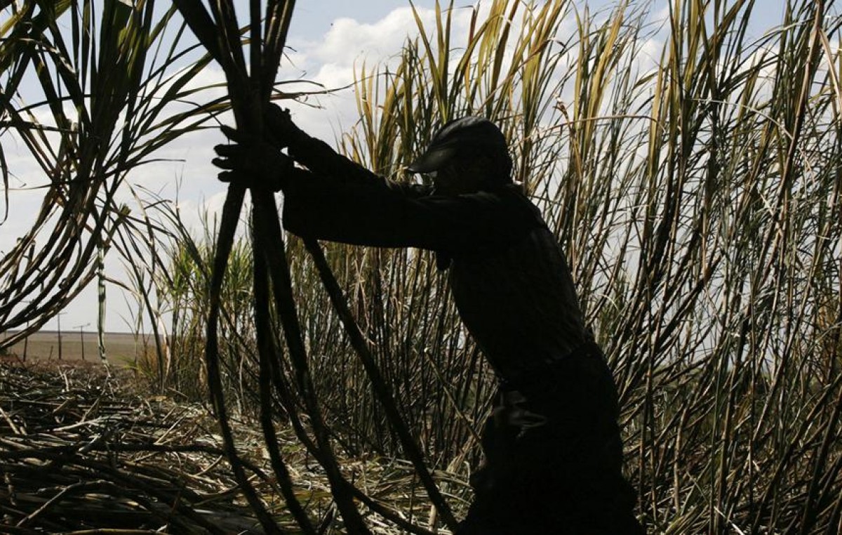 El trabajo en negro aún afecta a unos 4 millones de empleados