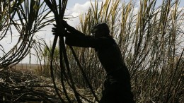 El trabajo en negro aún afecta a unos 4 millones de empleados