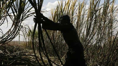 El trabajo en negro aún afecta a unos 4 millones de empleados