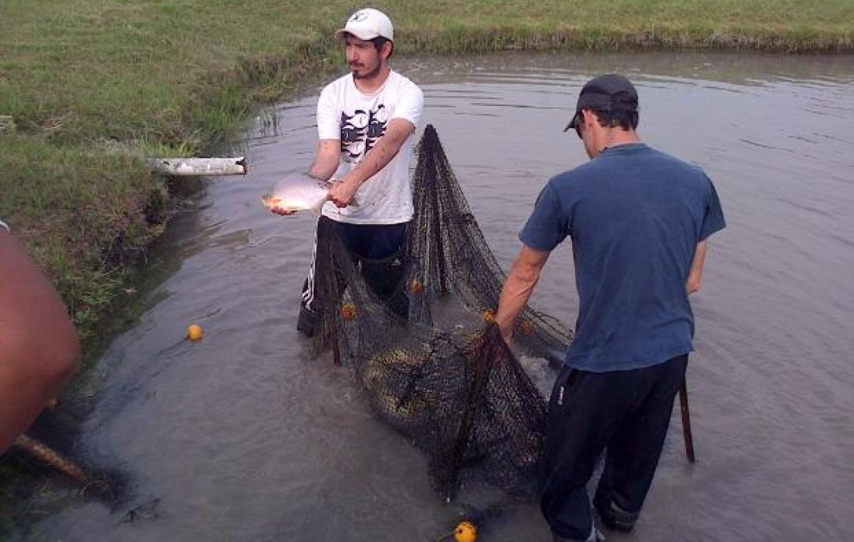 Victoria y Diamante, pioneras en Entre Ríos en la cría de peces