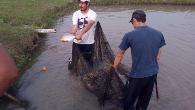 Victoria y Diamante, pioneras en Entre Ríos en la cría de peces