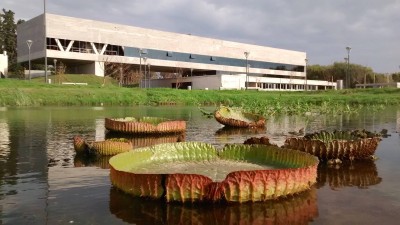 Se abrió el parque del Acuario en Rosario