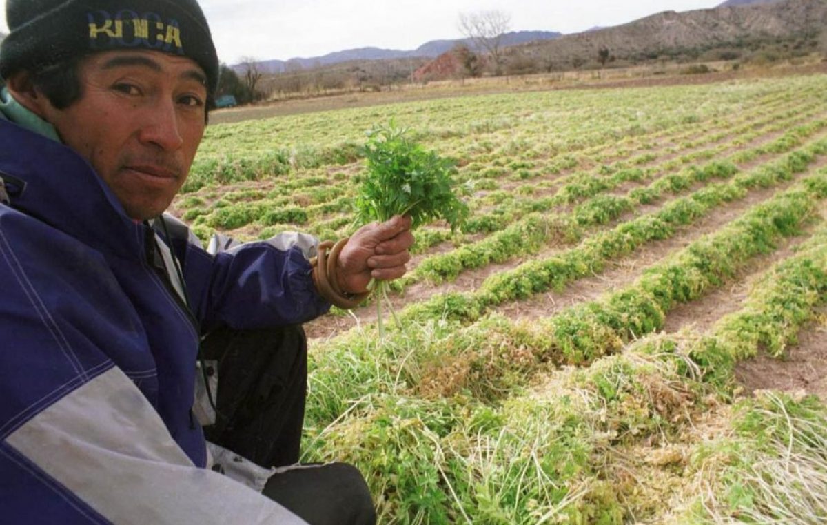 Cambio Rural II para los productores familiares en Salta y Jujuy