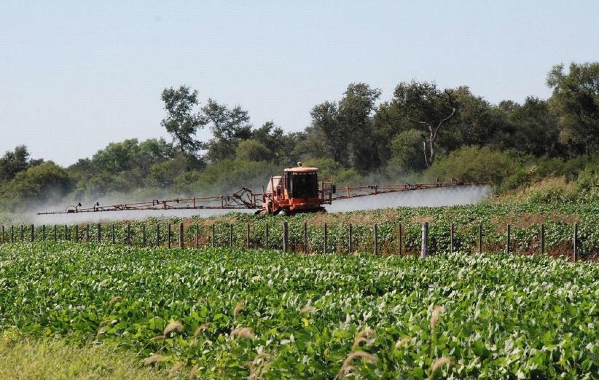 Ya no podrán circular “mosquitos” por el ejido urbano de Monte Maíz