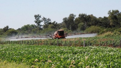 Ya no podrán circular “mosquitos” por el ejido urbano de Monte Maíz