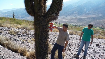 Jujuy: Provincia, municipios y estudiantes quieren salvar el cardonal de Hornillos