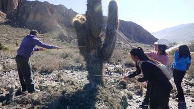 Tarea ecológica en la localidad de Maimará