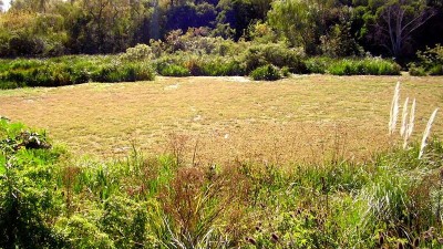 La municipalidad de La Plata y la UNLP trabajan en conjunto para preservar los humedales en la región